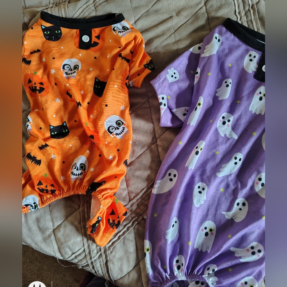 Halloween Themed Pet Pajamas Set